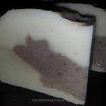 noel | goat milk soap